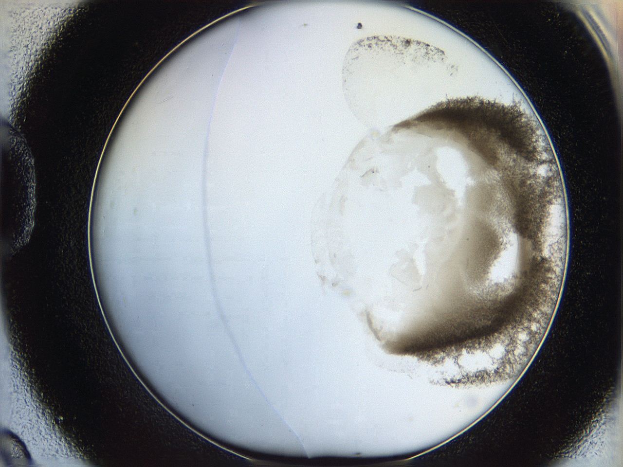 06cb_D9_ImagerDefaults_3.jpg