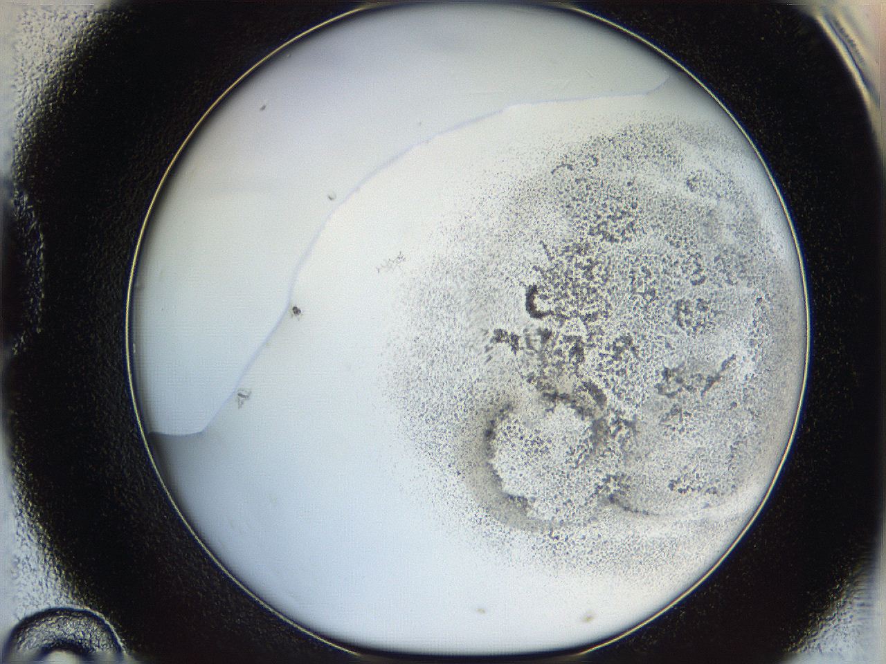 06cb_D10_ImagerDefaults_3.jpg