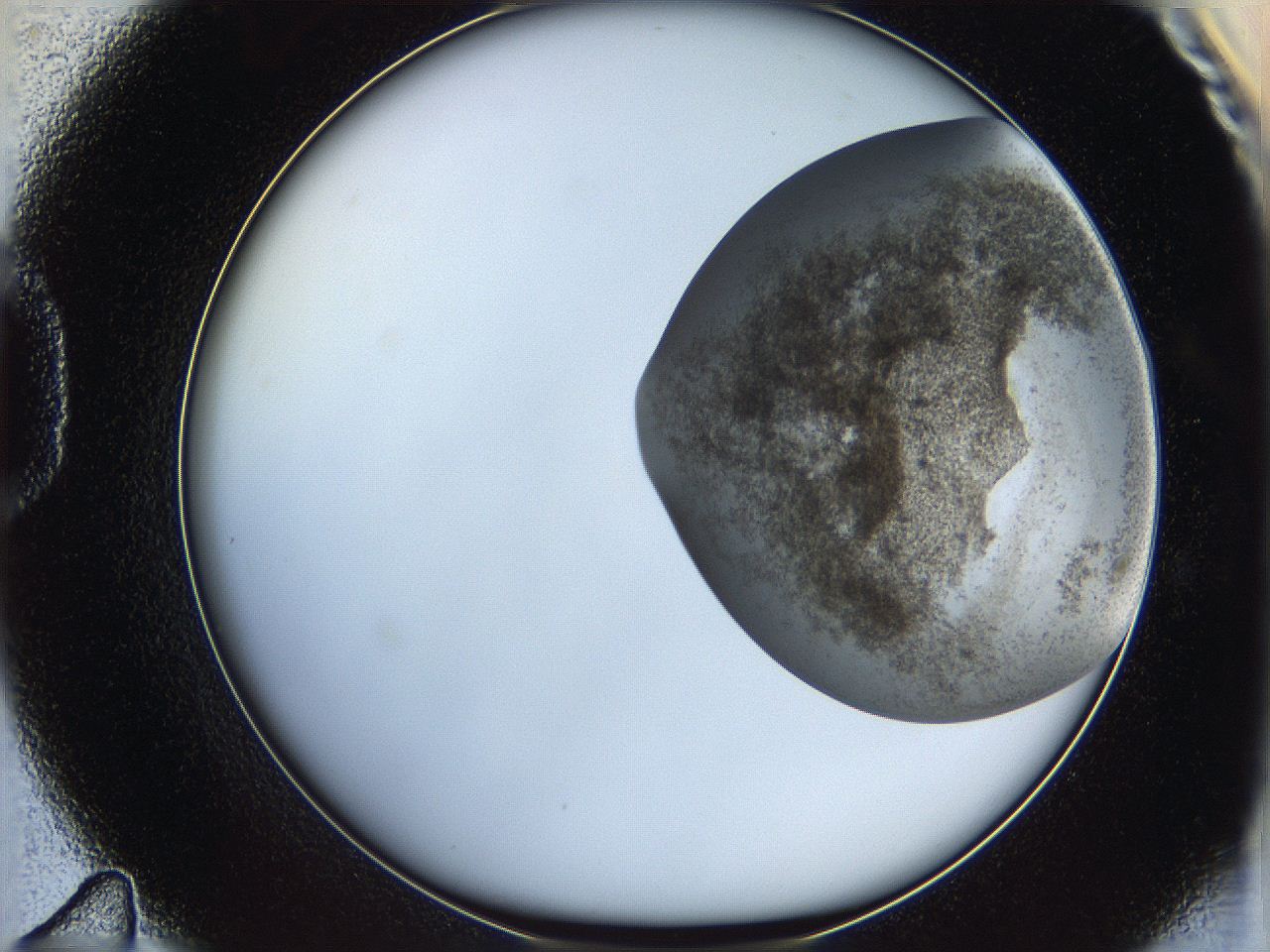 06cb_D11_ImagerDefaults_3.jpg
