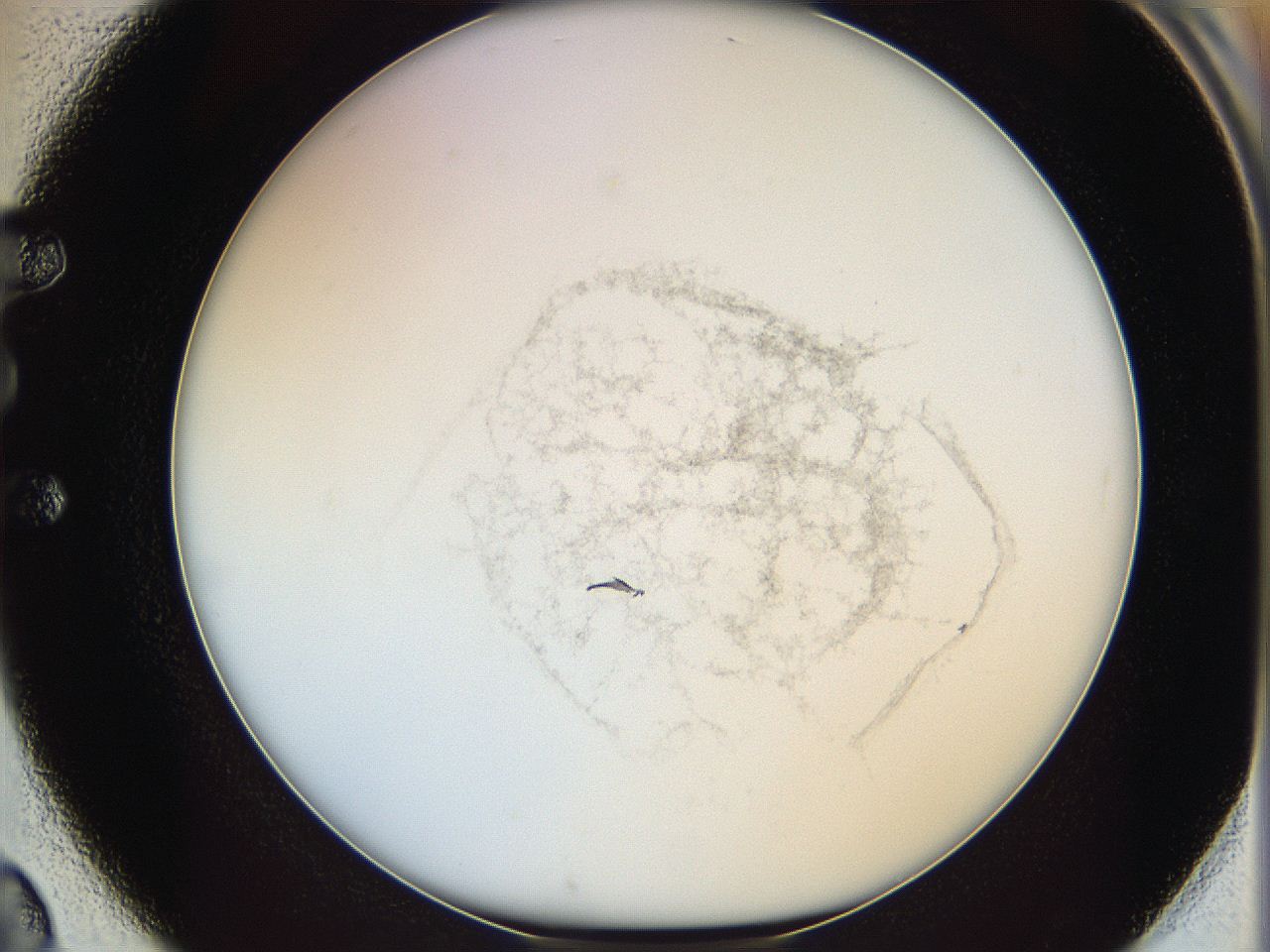 06cb_E2_ImagerDefaults_3.jpg