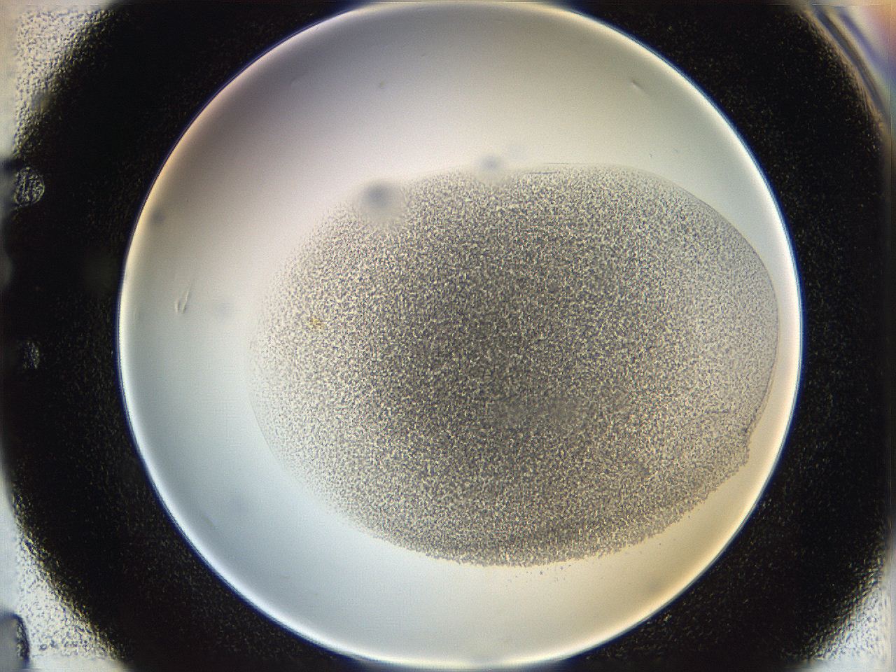06cb_E4_ImagerDefaults_3.jpg