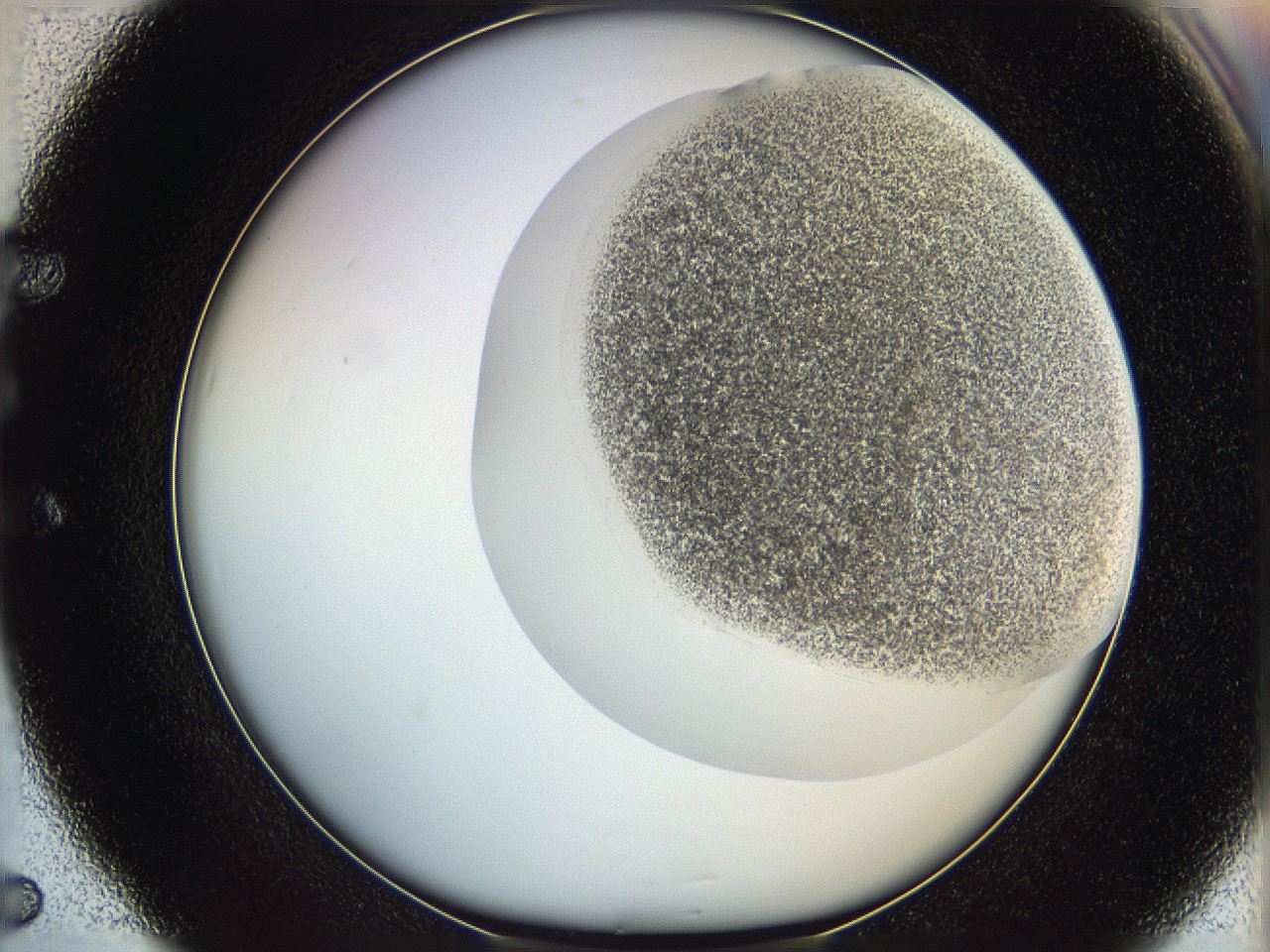 06cb_E5_ImagerDefaults_3.jpg