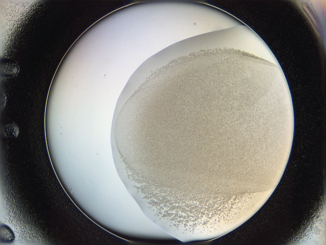 06cb_E6_ImagerDefaults_5.jpg