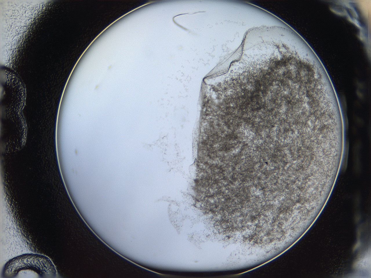 06cb_B12_ImagerDefaults_3.jpg