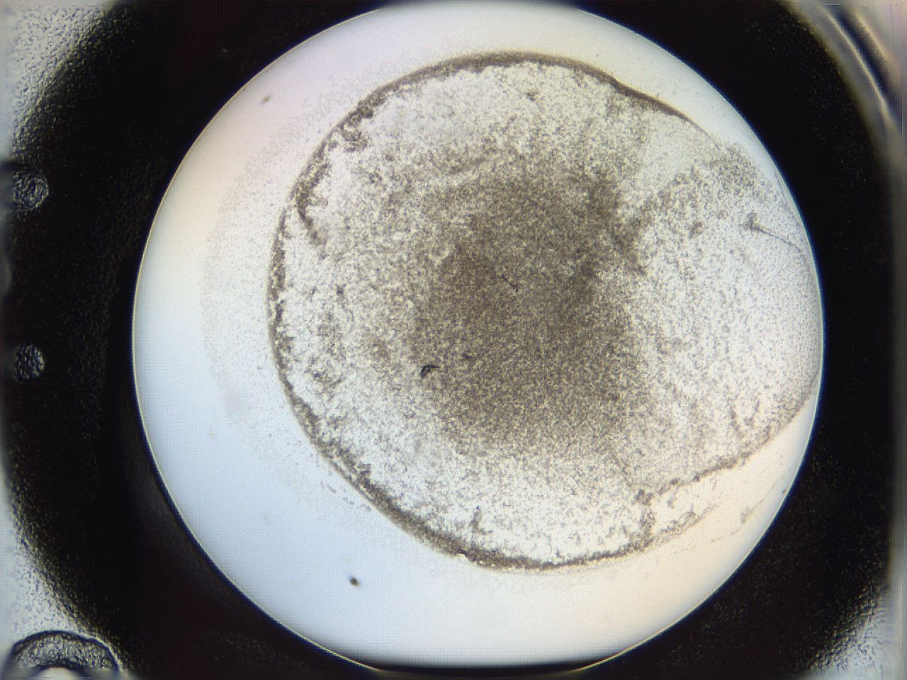 06cb_E10_ImagerDefaults_3.jpg