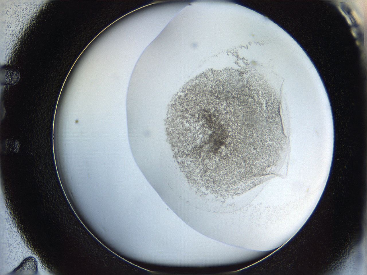 06cb_E11_ImagerDefaults_3.jpg