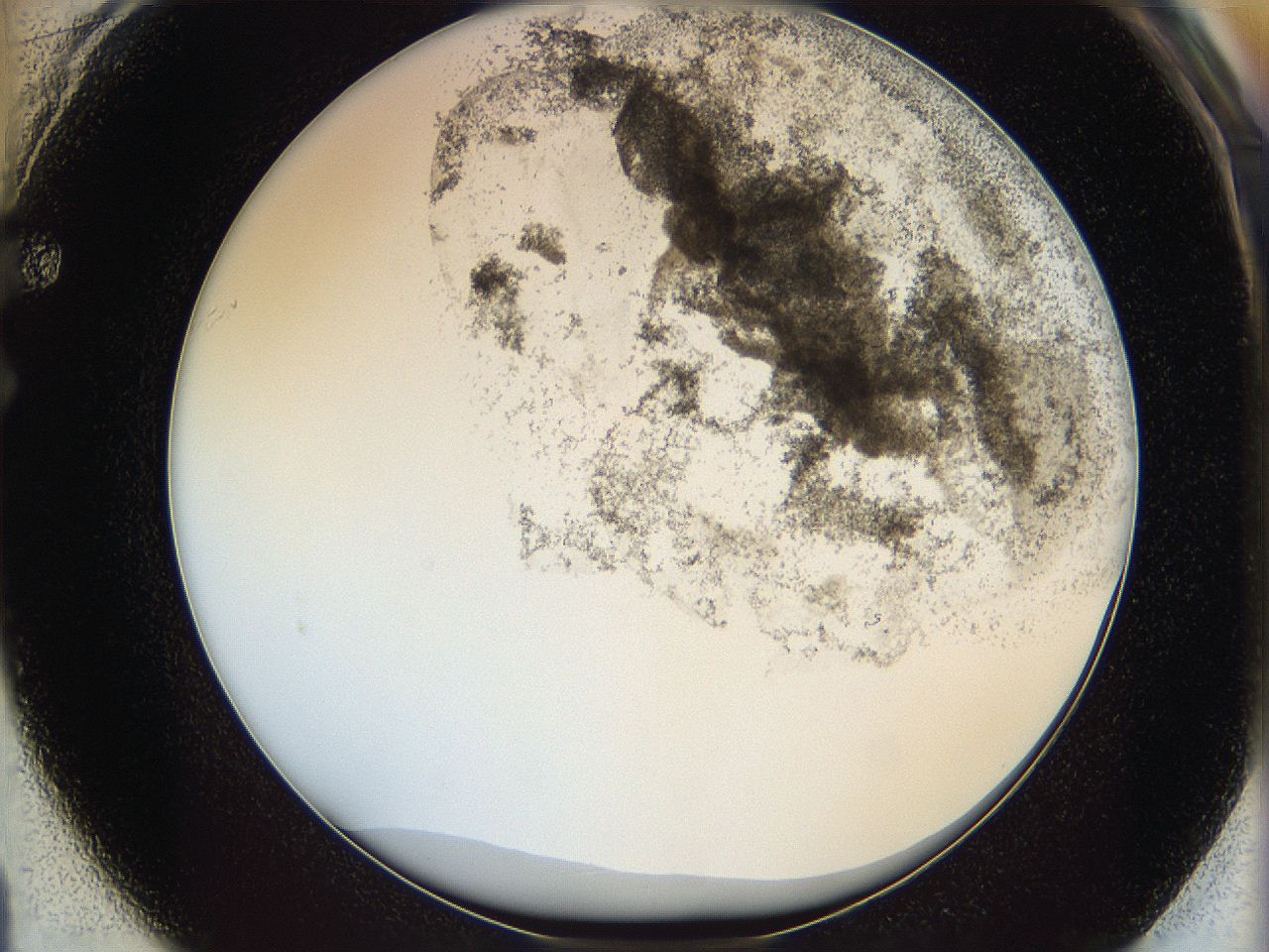 06cb_F1_ImagerDefaults_3.jpg
