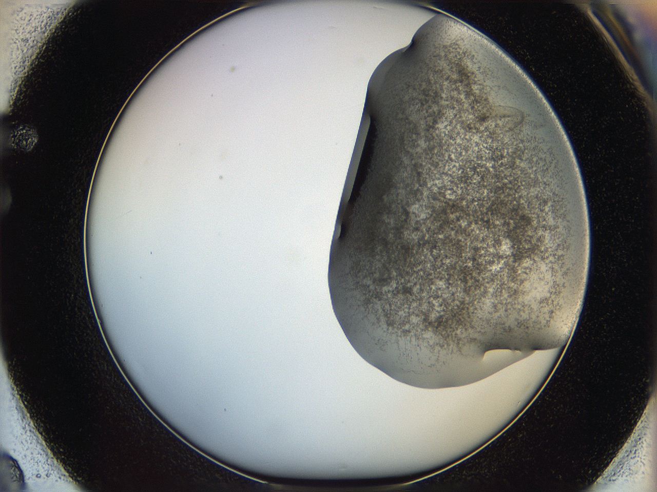 06cb_F2_ImagerDefaults_3.jpg