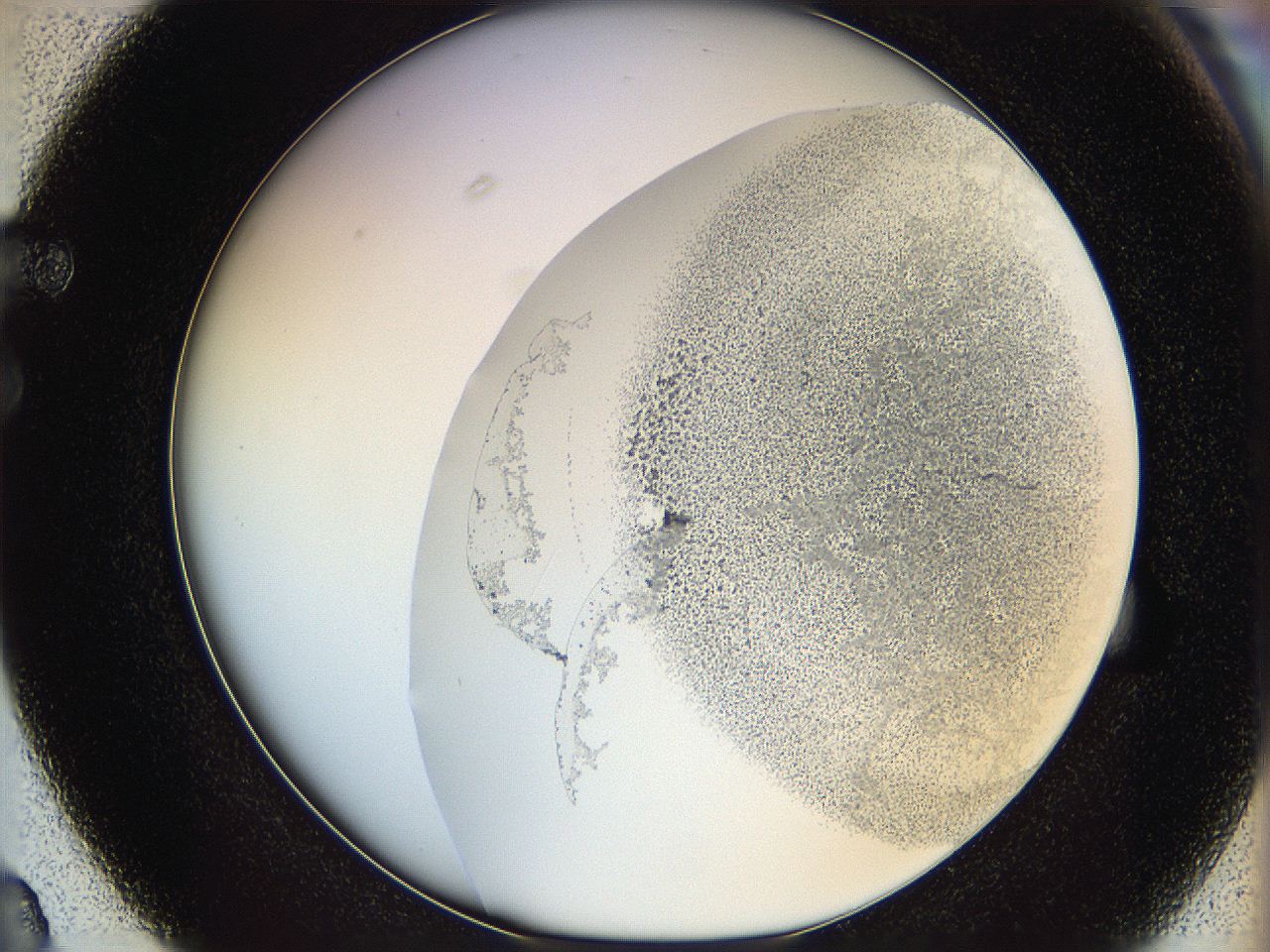 06cb_F3_ImagerDefaults_2.jpg