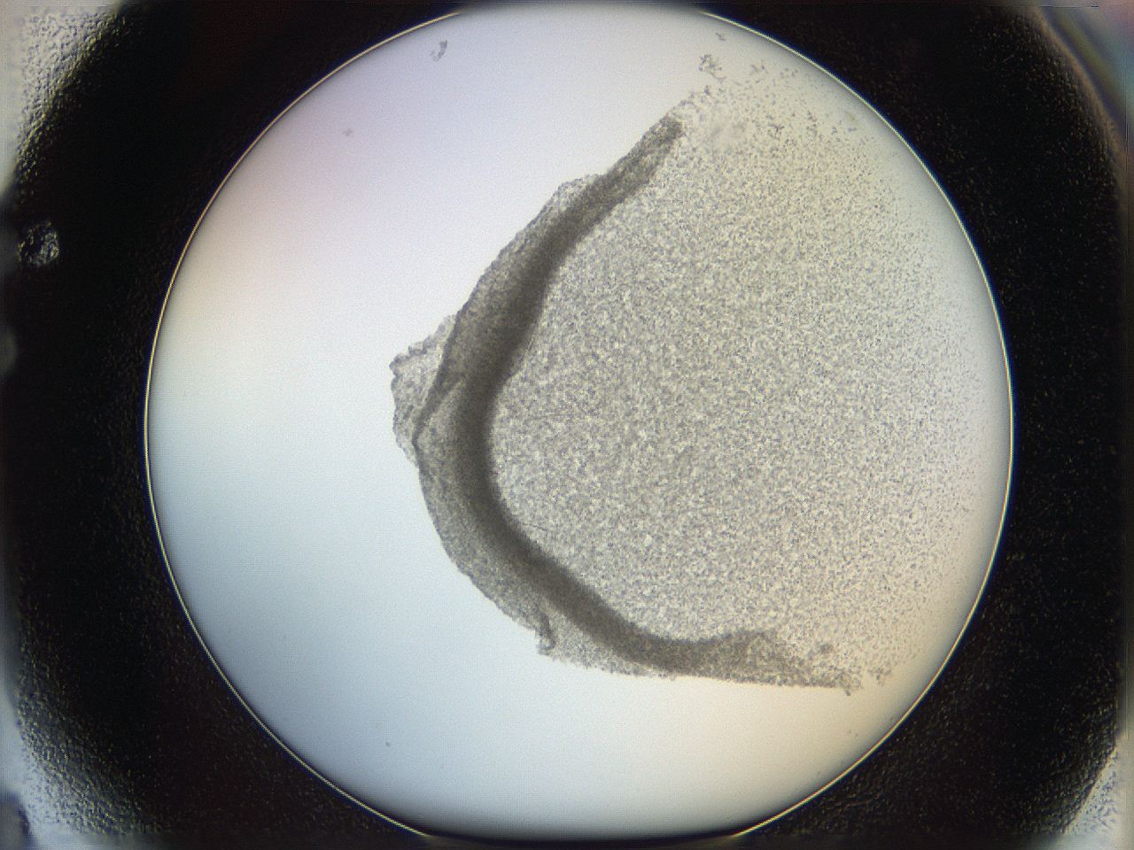 06cb_F4_ImagerDefaults_0.jpg