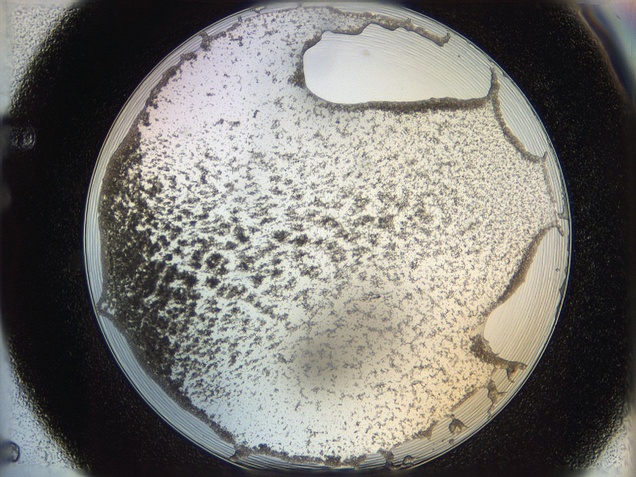 06cb_F5_ImagerDefaults_3.jpg