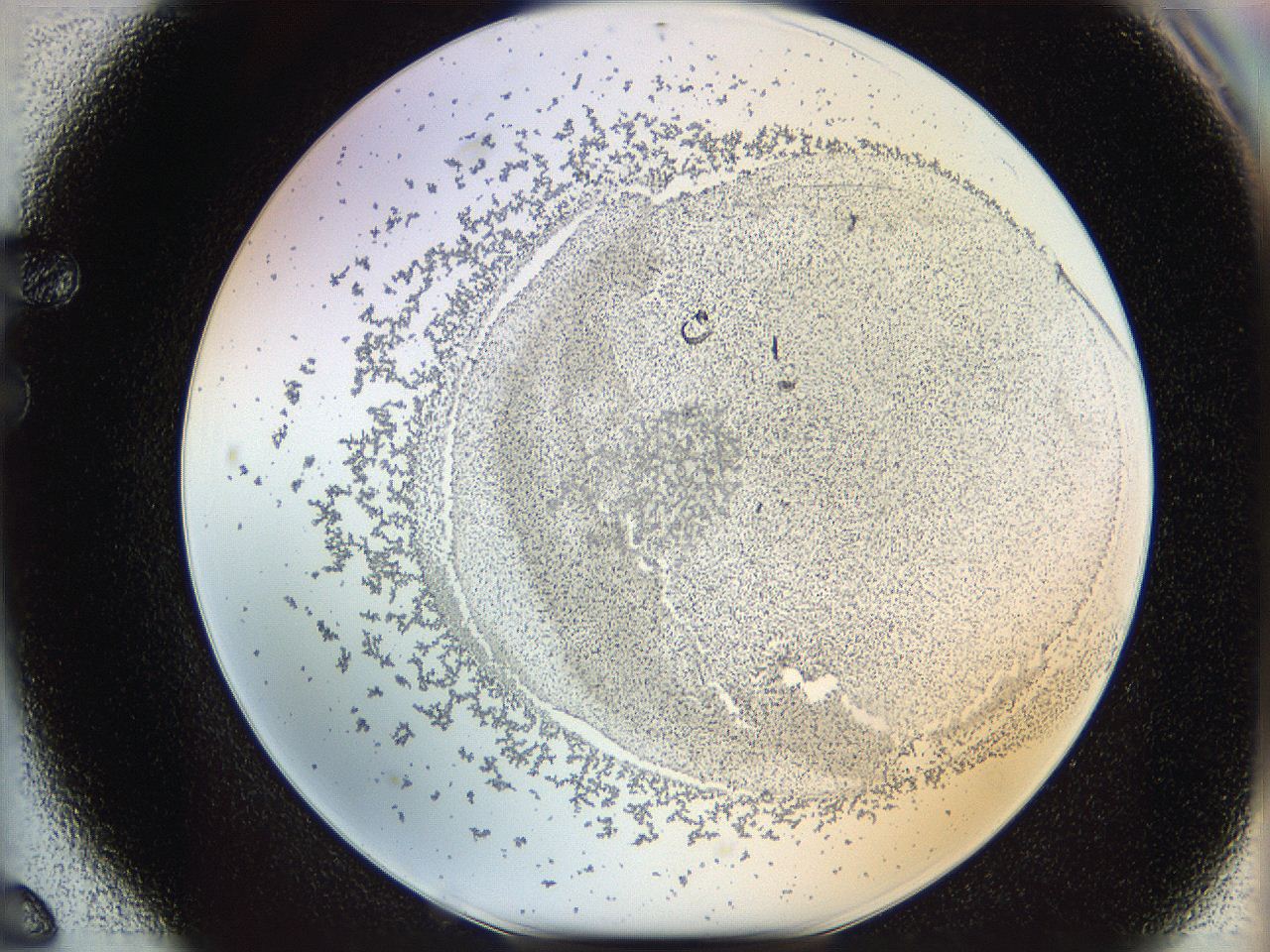 06cb_F6_ImagerDefaults_5.jpg
