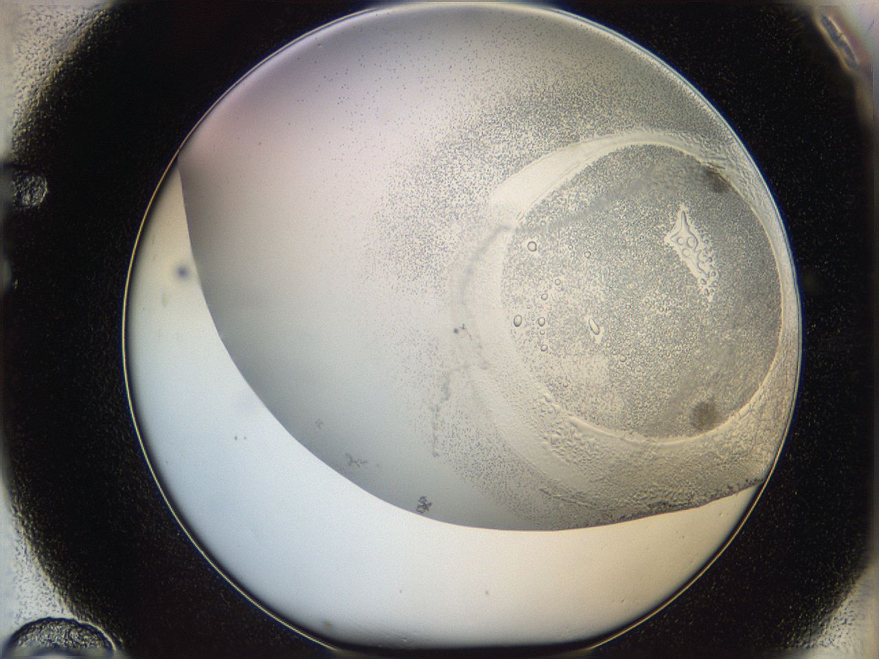 06cb_F10_ImagerDefaults_5.jpg