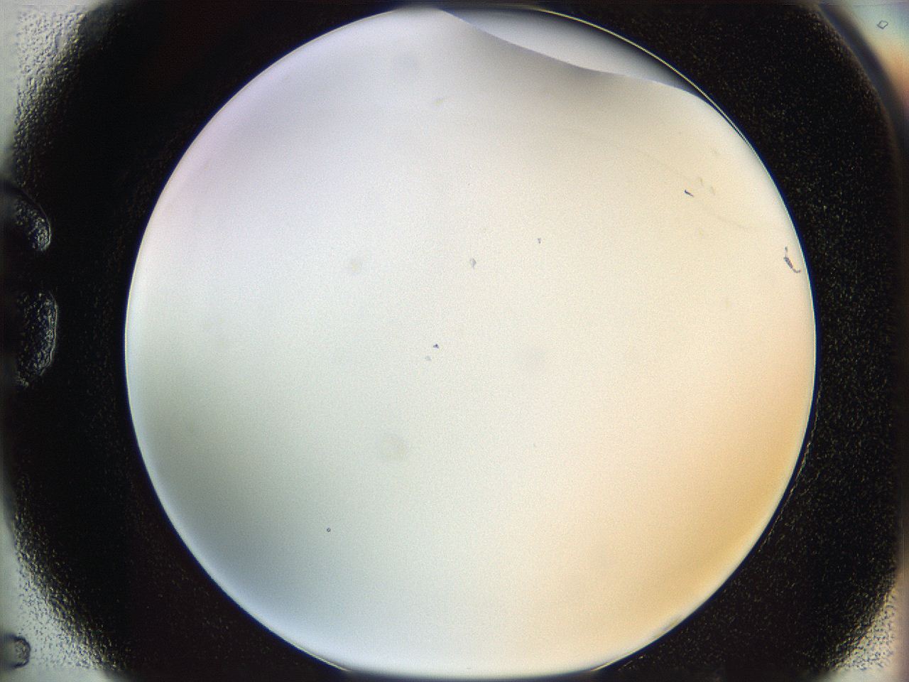06cb_G5_ImagerDefaults_0.jpg