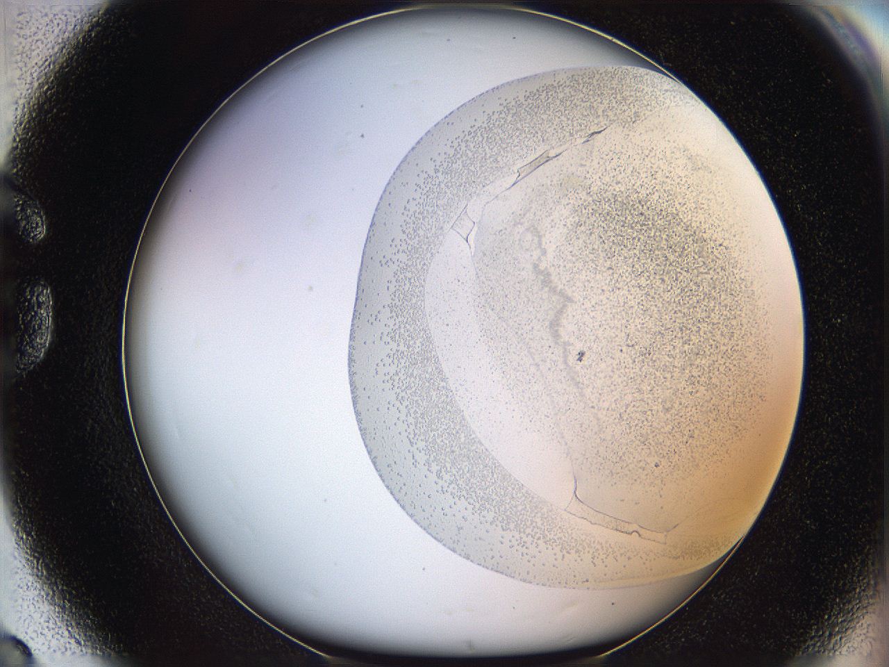 06cb_G8_ImagerDefaults_2.jpg