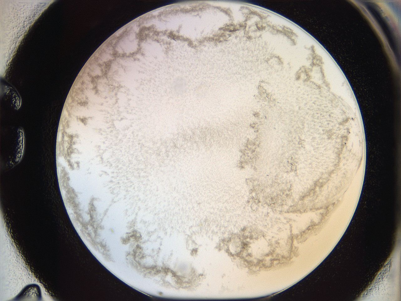 06cb_G11_ImagerDefaults_3.jpg