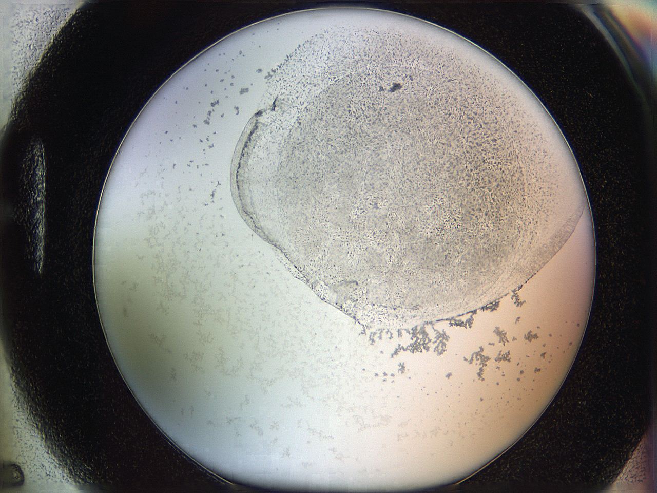 06cb_H5_ImagerDefaults_5.jpg