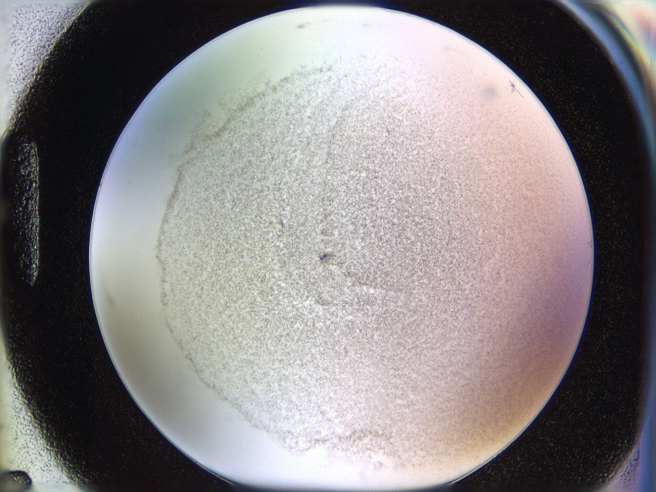 06cb_H7_ImagerDefaults_2.jpg