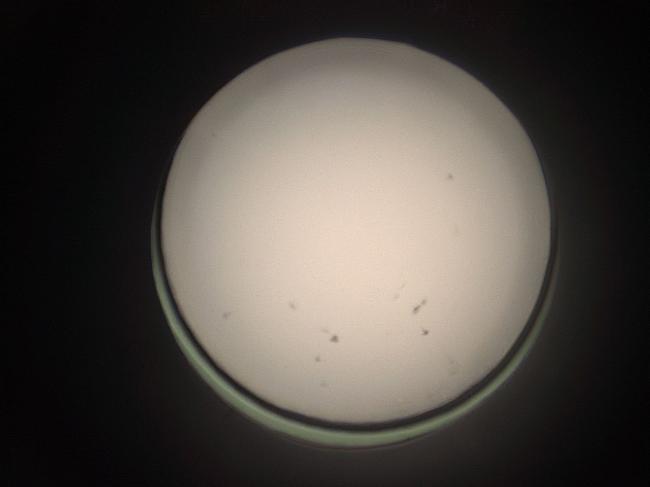 06cn_G3_ImagerDefaults_1.jpg