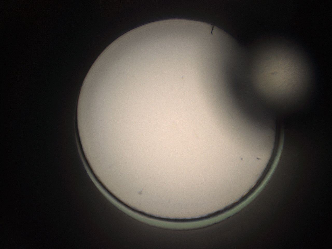 06cn_J6_ImagerDefaults_1.jpg