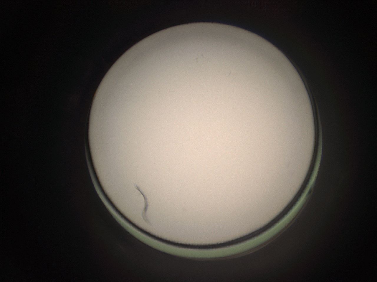 06cn_K2_ImagerDefaults_1.jpg