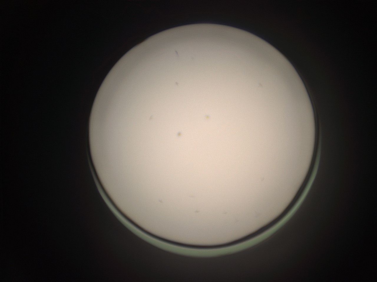 06cn_M4_ImagerDefaults_1.jpg