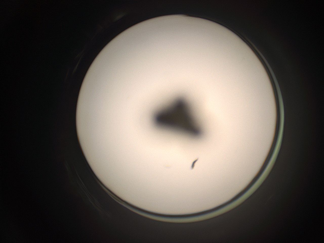 06cn_P10_ImagerDefaults_1.jpg