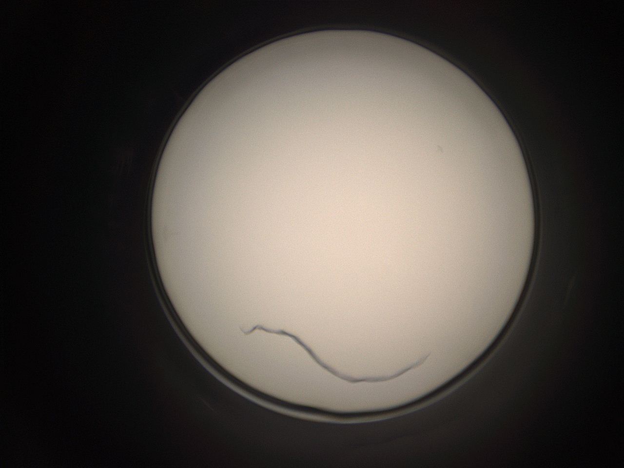 06co_K2_ImagerDefaults_1.jpg