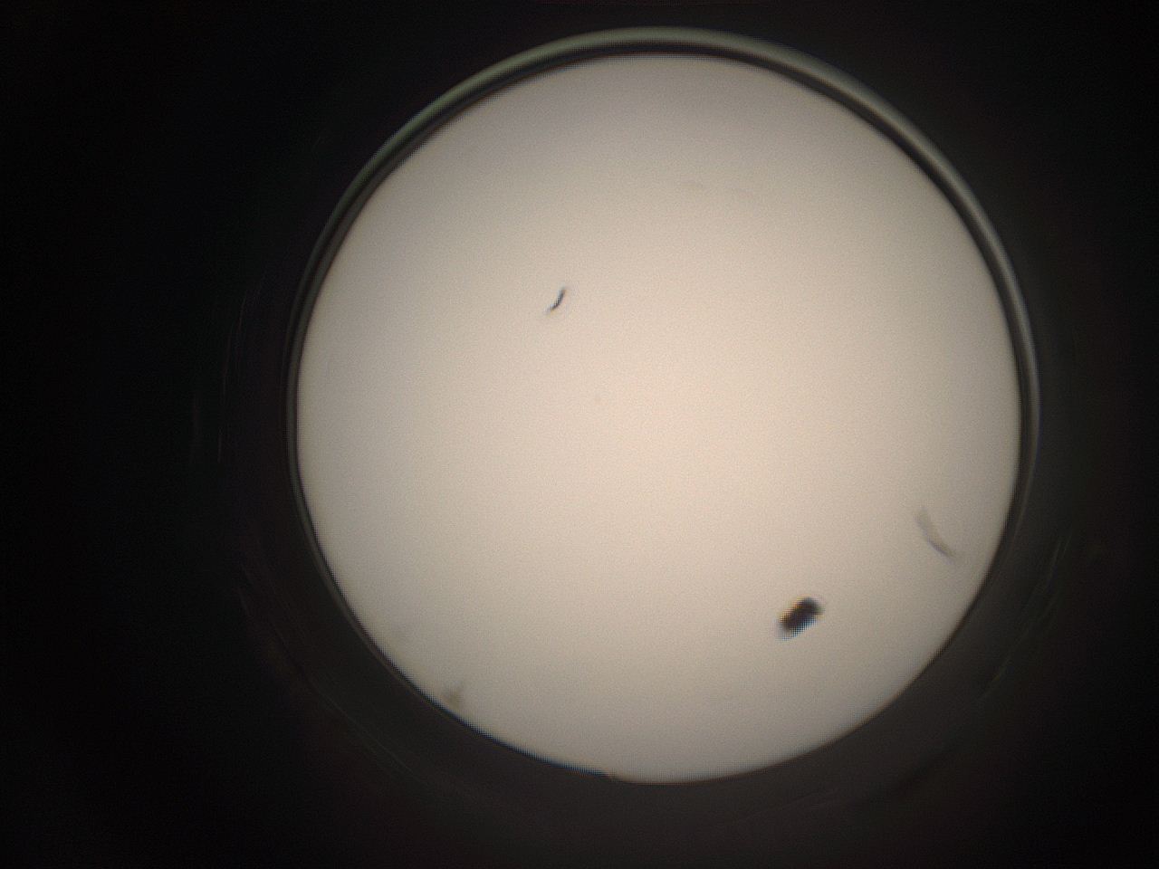 06co_K24_ImagerDefaults_1.jpg