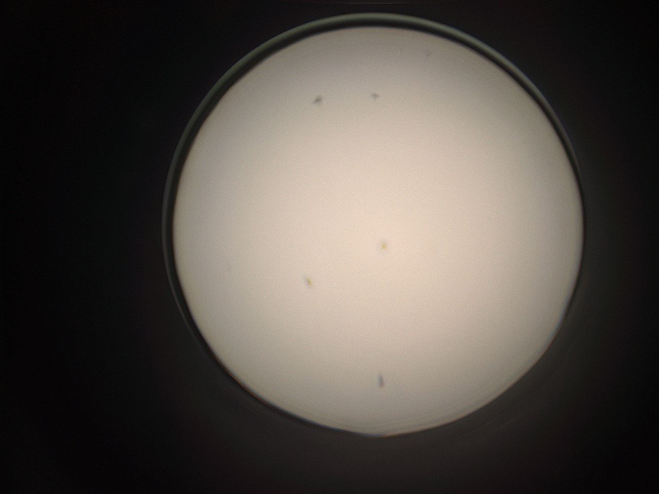 06co_L22_ImagerDefaults_1.jpg