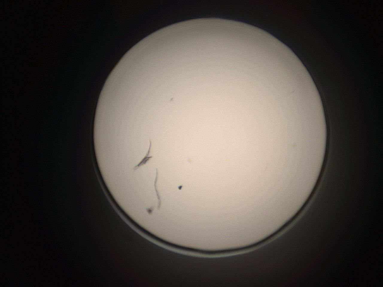 06co_M4_ImagerDefaults_1.jpg