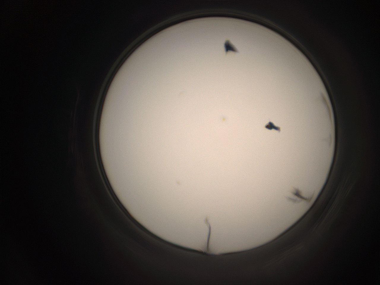 06co_O15_ImagerDefaults_1.jpg