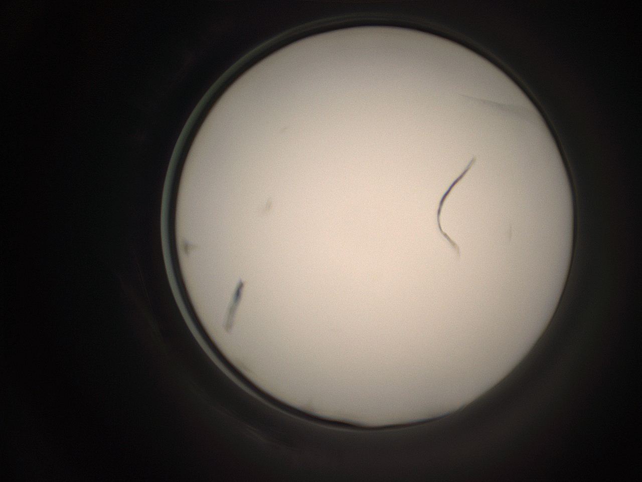 06co_O17_ImagerDefaults_1.jpg