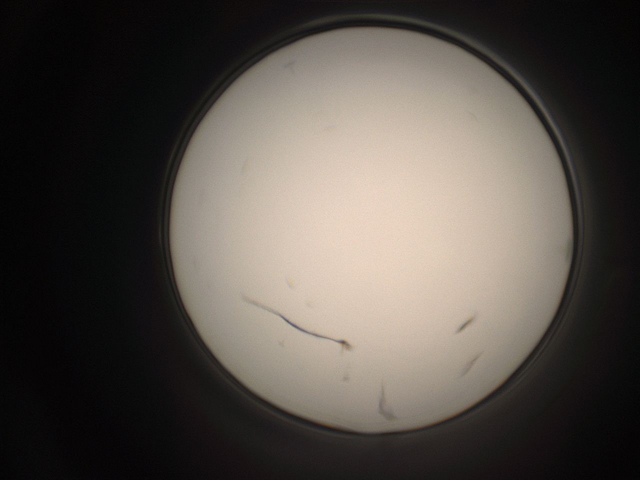 06co_O24_ImagerDefaults_1.jpg