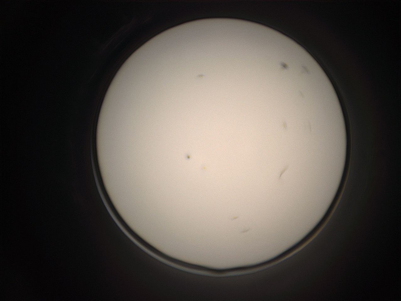 06co_P5_ImagerDefaults_1.jpg