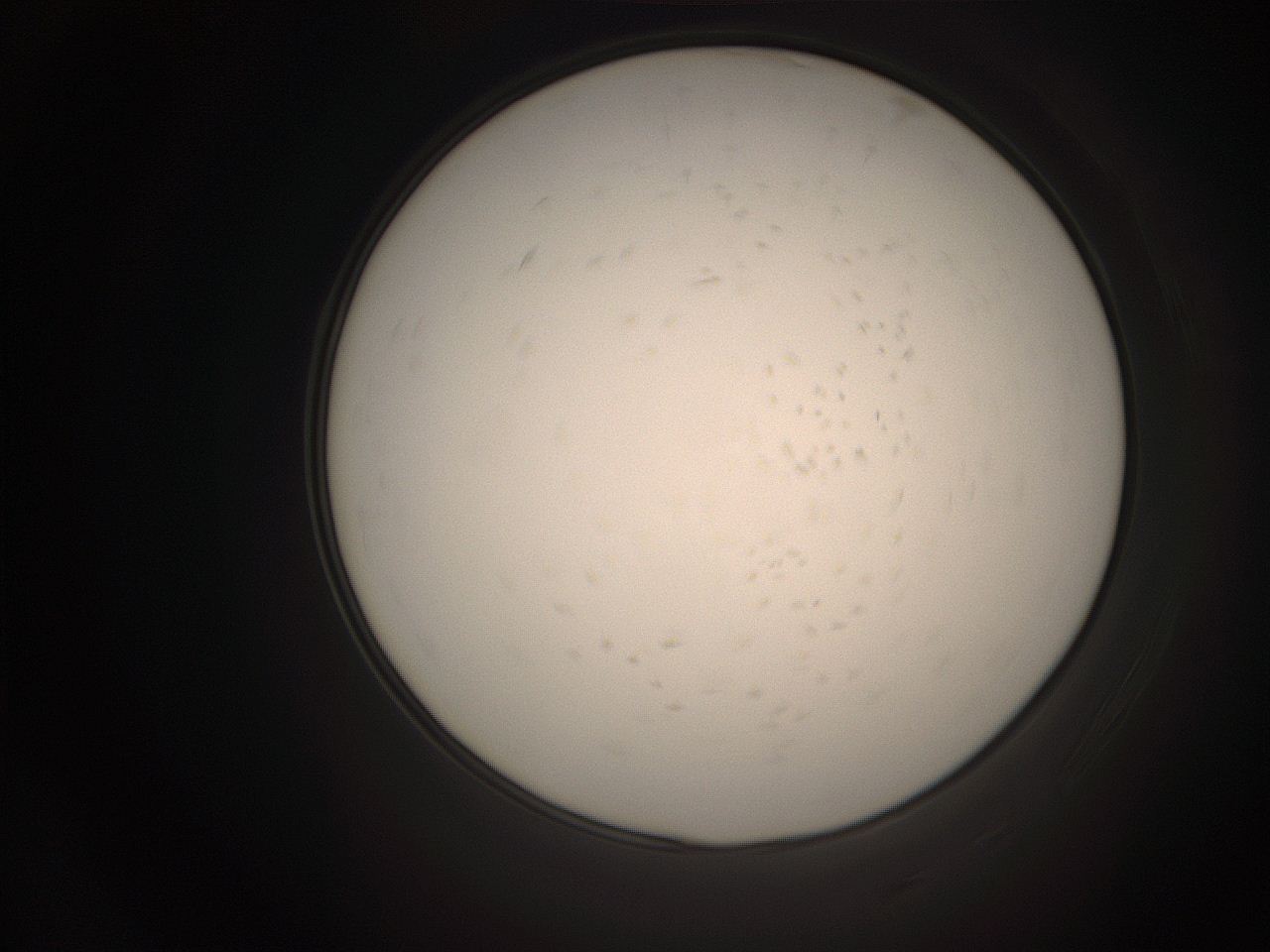 06co_P15_ImagerDefaults_9.jpg