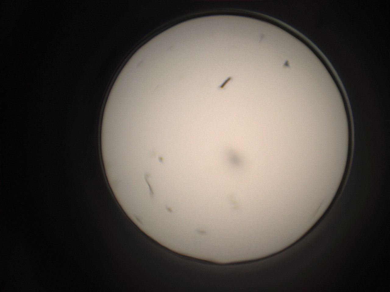 06co_P22_ImagerDefaults_1.jpg