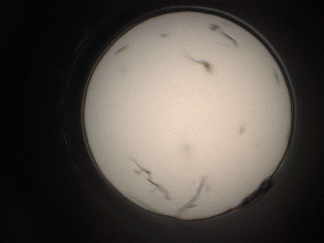 06co_P24_ImagerDefaults_1.jpg