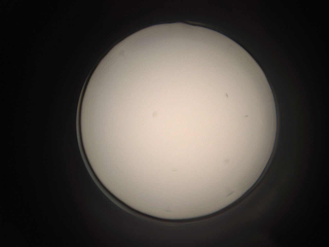 06cp_A4_ImagerDefaults_1.jpg