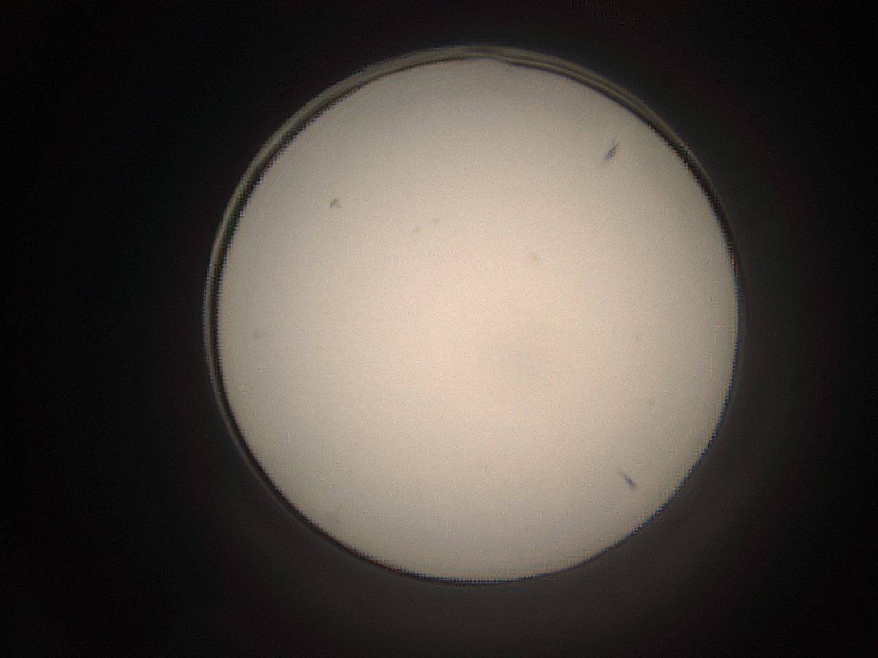 06cp_A13_ImagerDefaults_1.jpg