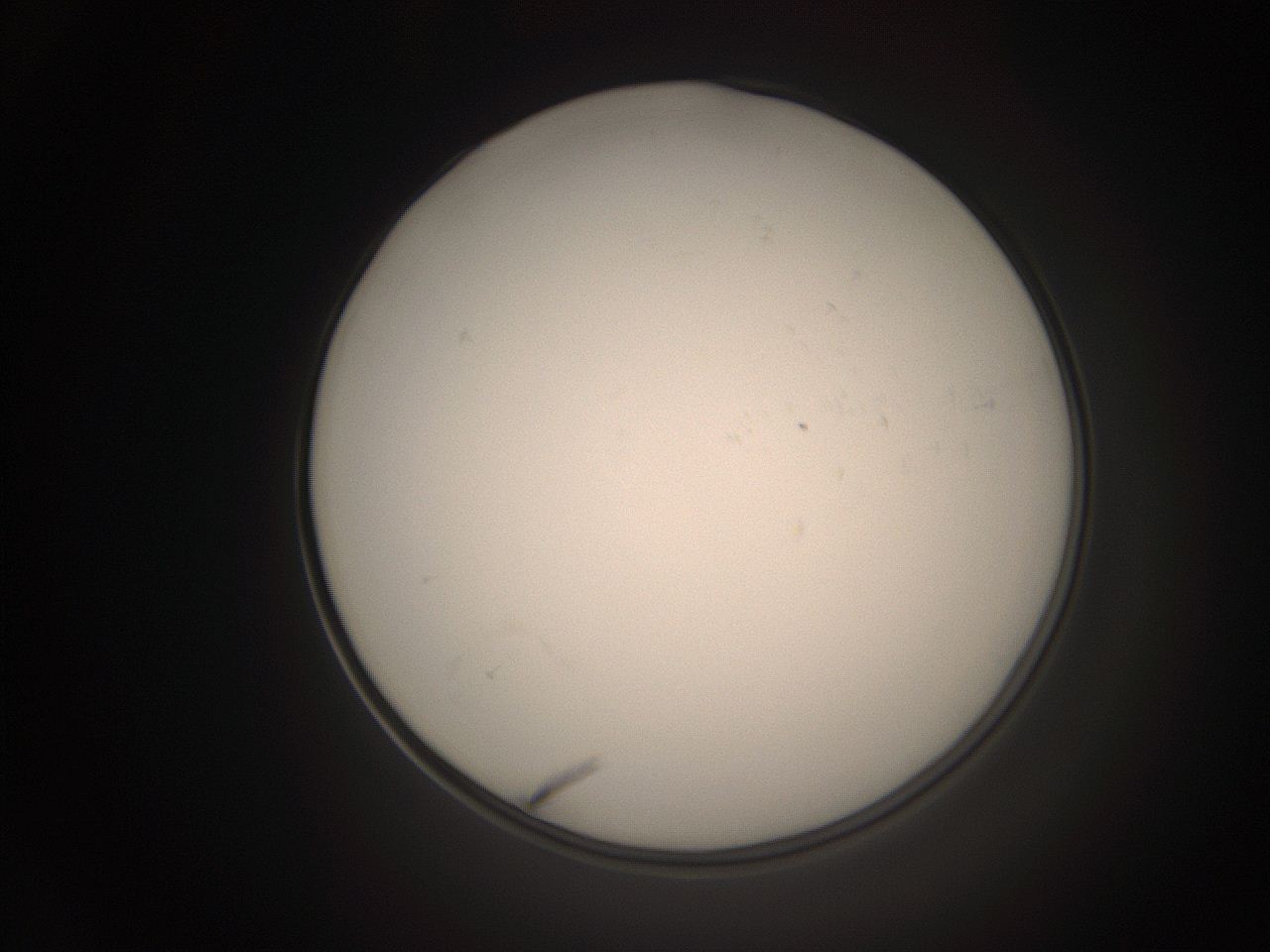 06cp_B1_ImagerDefaults_1.jpg
