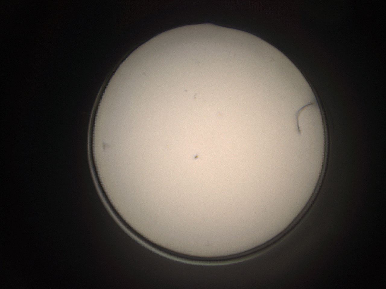06cp_D1_ImagerDefaults_1.jpg