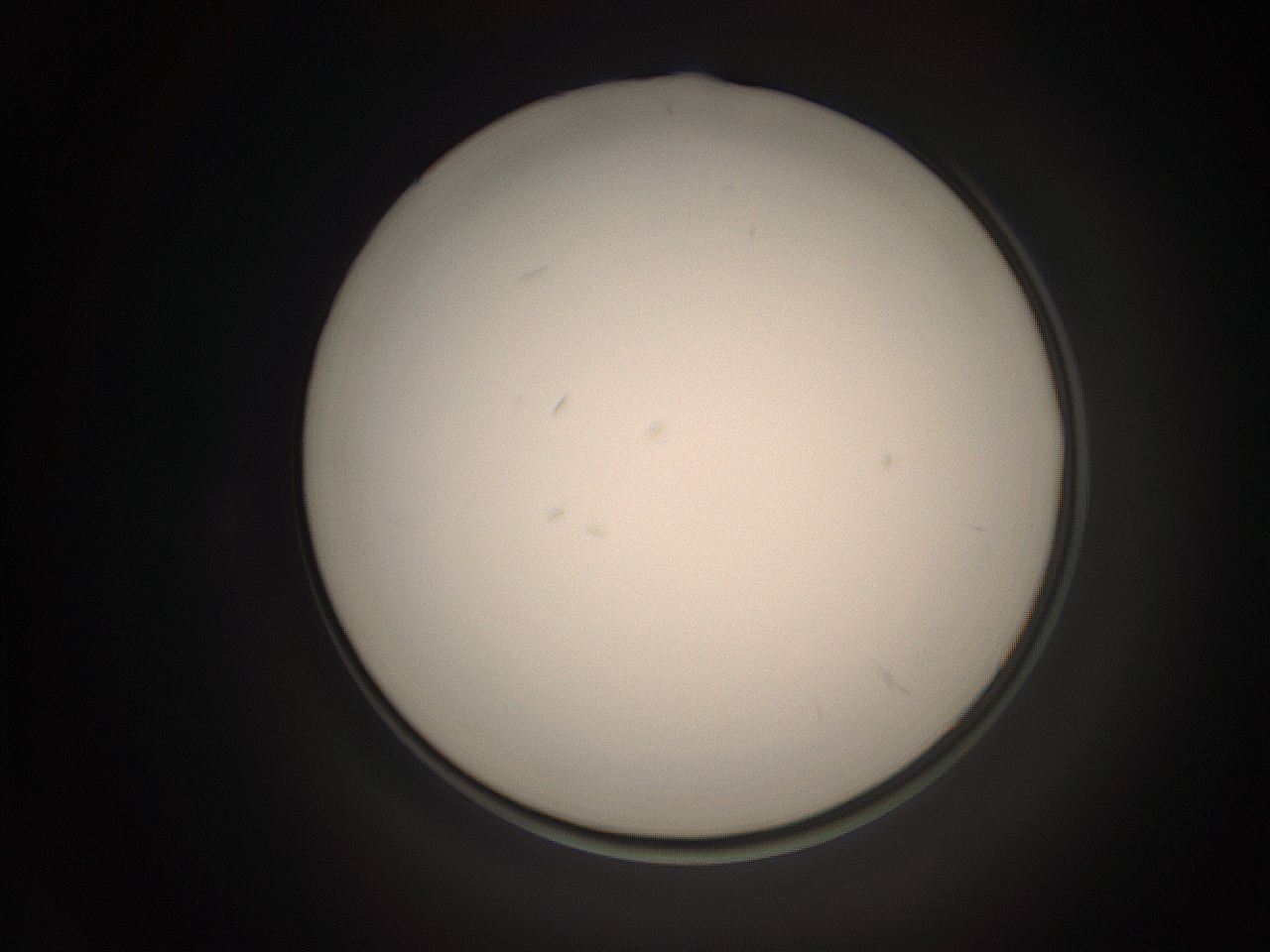 06cp_F8_ImagerDefaults_1.jpg