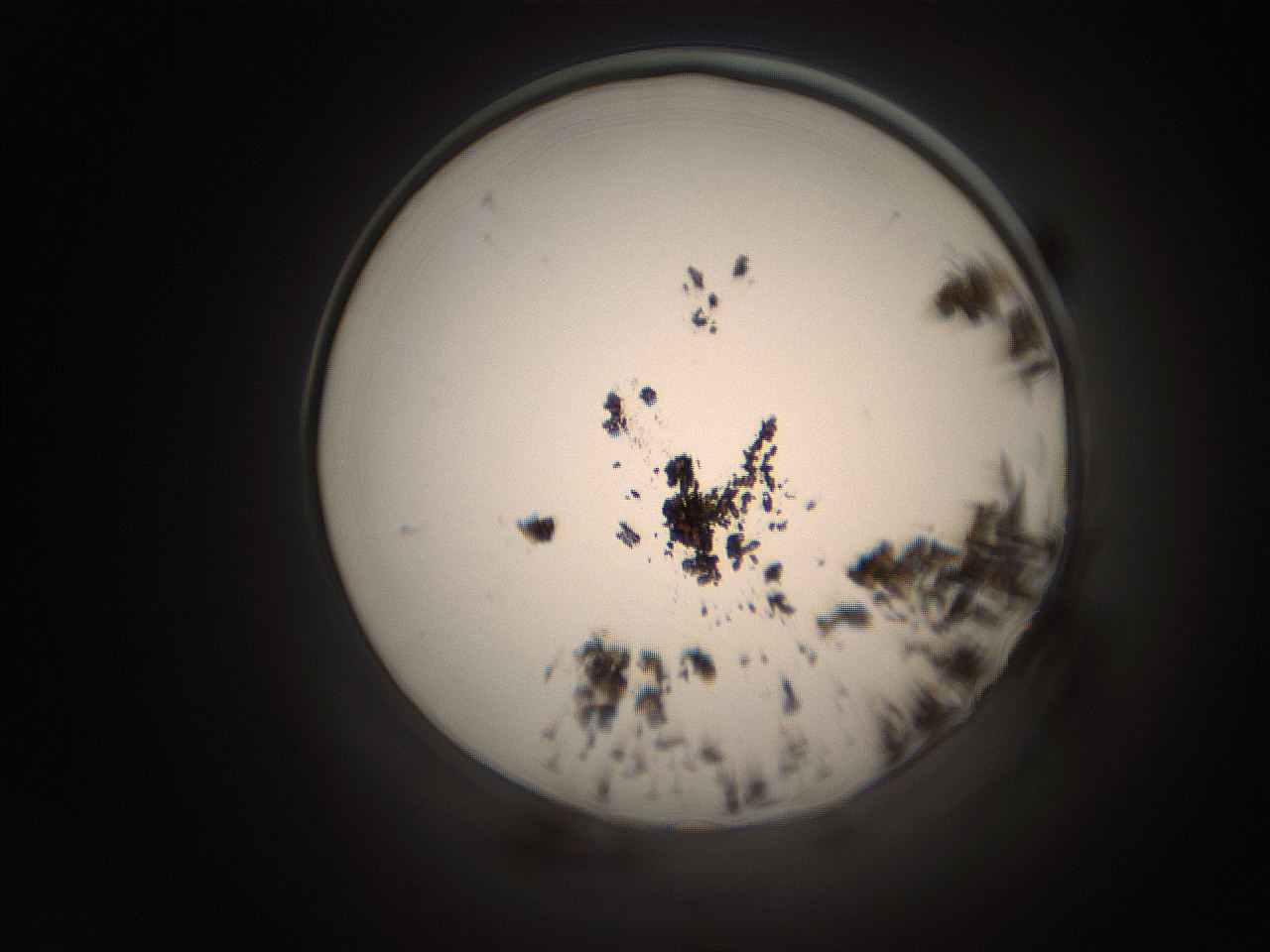 06cp_H23_ImagerDefaults_1.jpg
