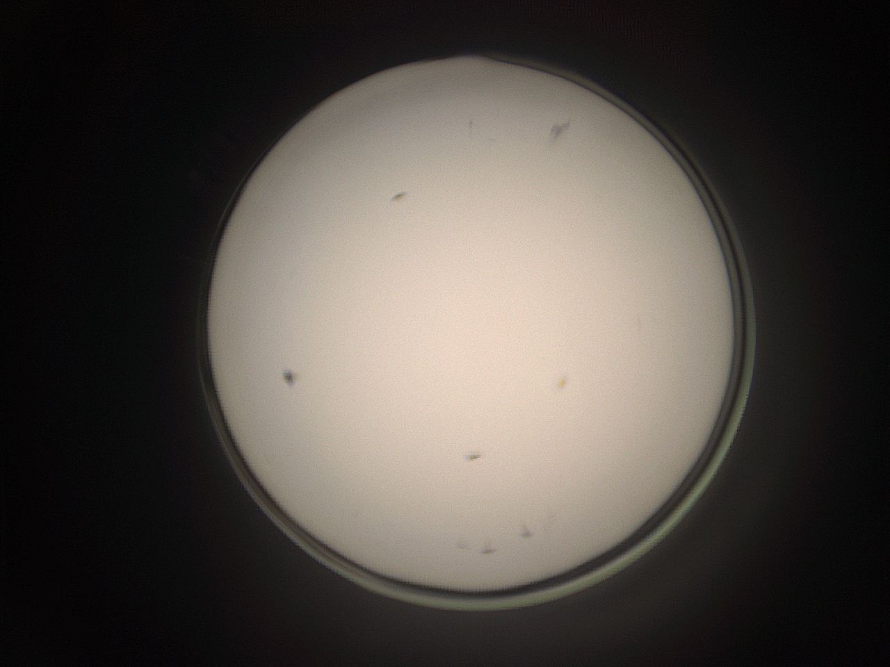 06cp_L1_ImagerDefaults_1.jpg