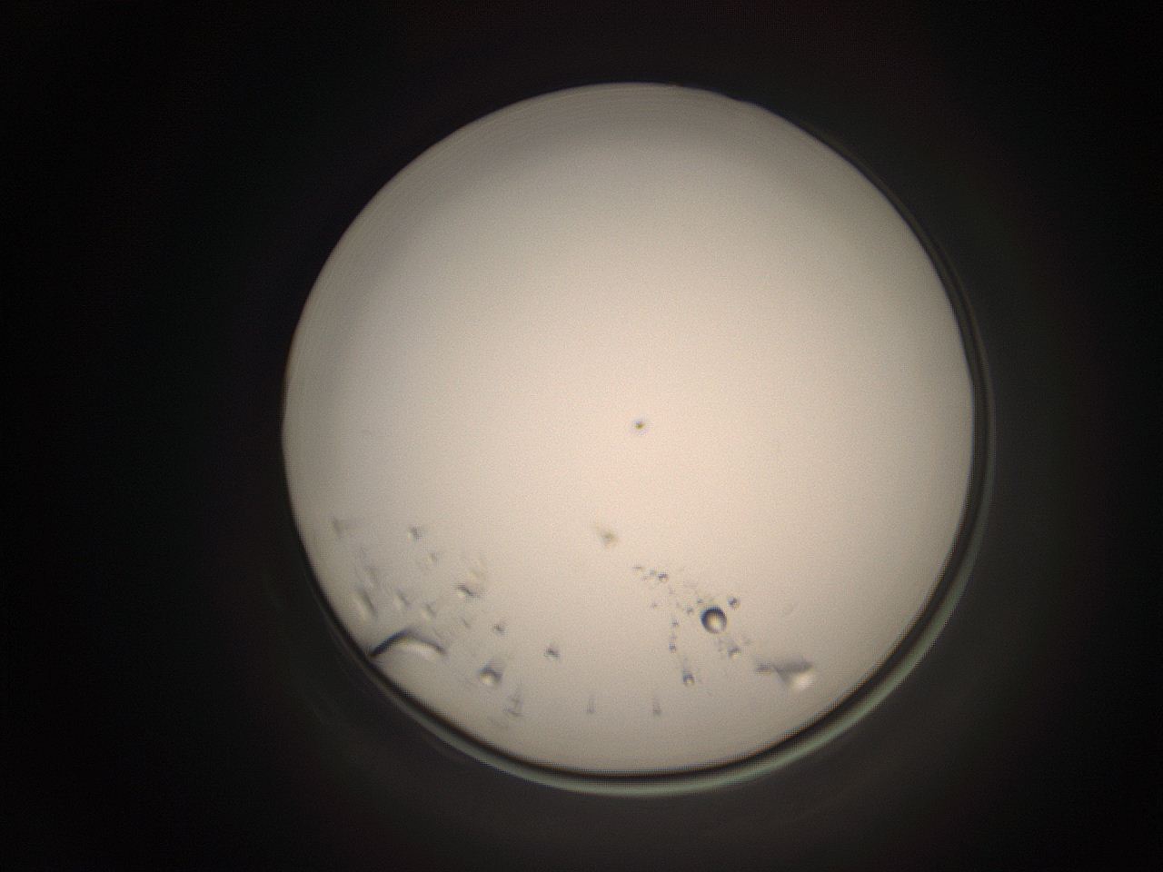 06cp_L7_ImagerDefaults_1.jpg