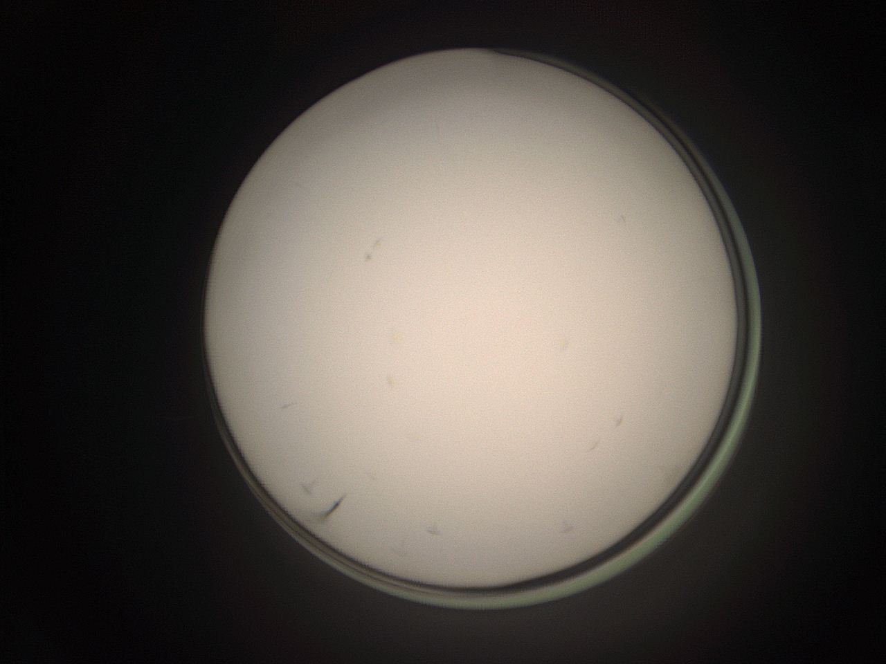 06cp_N1_ImagerDefaults_1.jpg