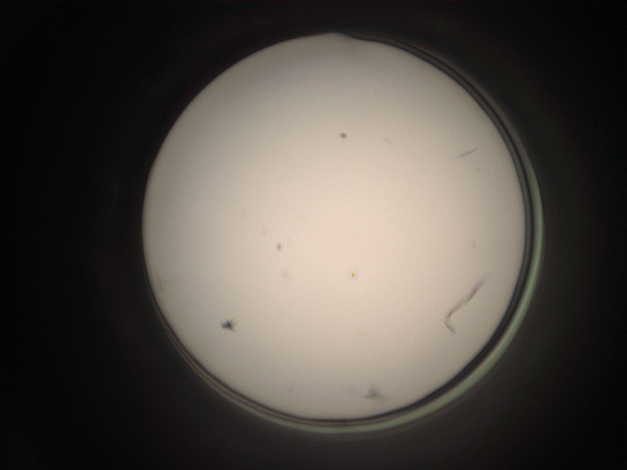06cp_P4_ImagerDefaults_1.jpg