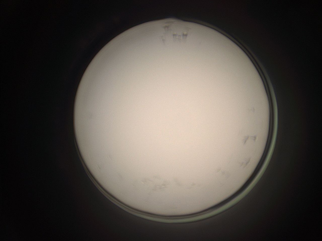 06cp_P5_ImagerDefaults_1.jpg