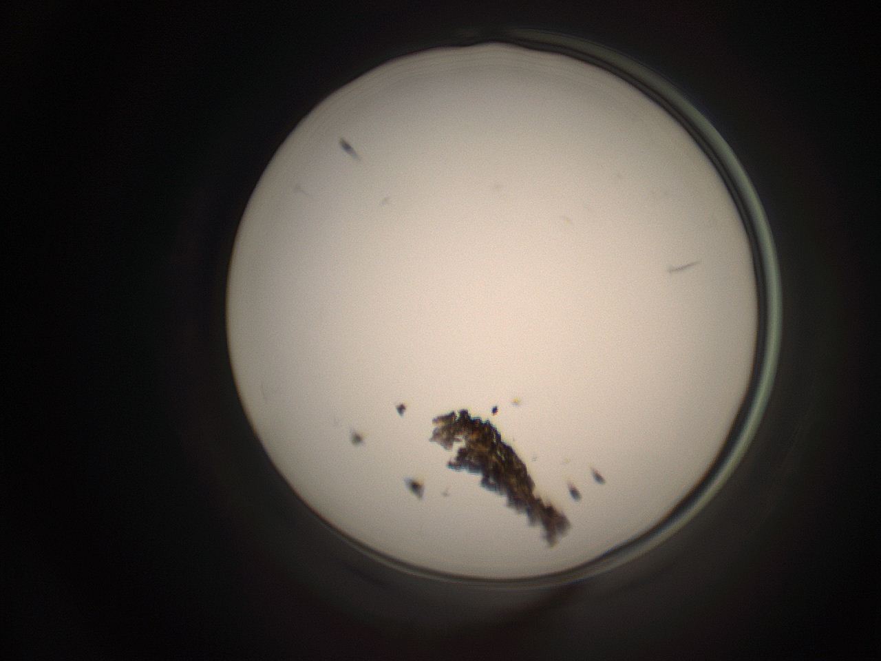 06cp_P20_ImagerDefaults_1.jpg